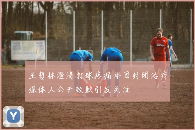 王哲林澄清打球疼痛非因封闭治疗媒体人公开致歉引发关注