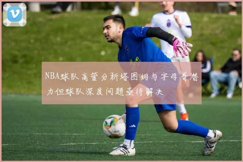 NBA球队高管分析塔图姆与字母哥潜力但球队深度问题亟待解决