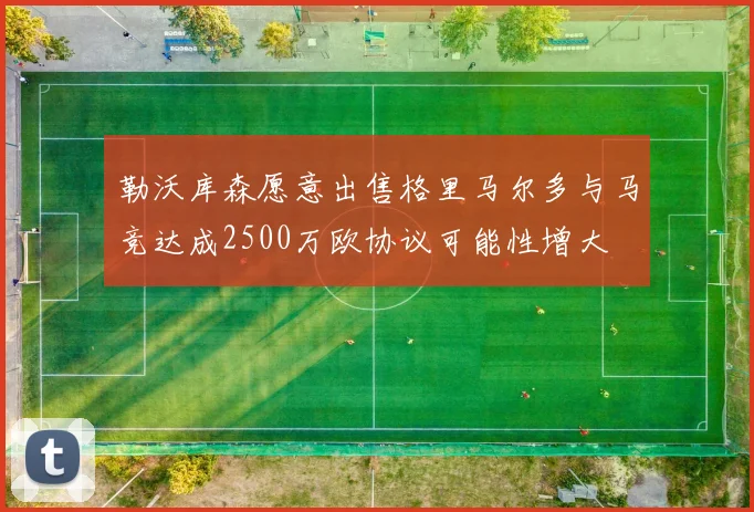 勒沃库森愿意出售格里马尔多与马竞达成2500万欧协议可能性增大